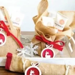 Vliss Oganics (Cleanser/Balancing Moisturiser/Exfoliating) Xmas Gift Pack1