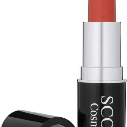 Scout Cosmetics Lipstick Vegan Autumn Wish 5g