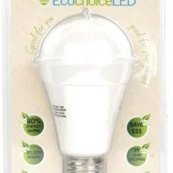 EcochoiceLED 12W Edison Screw Globe Bright Warm Light