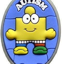MediMates Autism Charm
