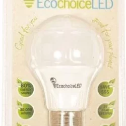 EcochoiceLED 9W Edison Screw Globe Bright Warm Light