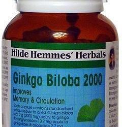 Hilde Hemmes Ginkgo Biloba 2000mg x 60caps