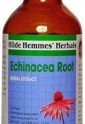 Hilde Hemmes Echinacea Root - Herbal Extract 100ml