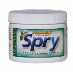 Spearmint Gum 100 pcs