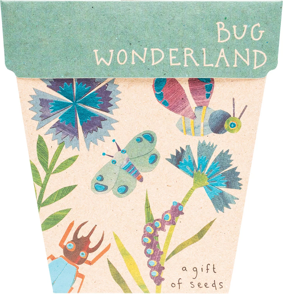 SOW 'N SOW Gift of Seeds Bug Wonderland - 1.00