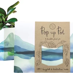 SOW 'N SOW Pop Up Pot Mountain - Small 22cm - 1.00