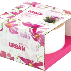 URBAN GREENS Grow Kit Dwarf Cosmos - 14x14x8.5cm - 1.00