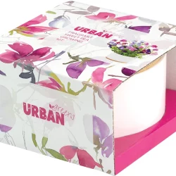 URBAN GREENS Grow Kit Fragrant Sweet Pea - 14x14x8.5cm - 1.00