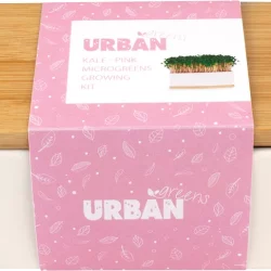 URBAN GREENS Mini Garden Sprouts Kit Pink Kale - 20x8x7cm - 1.00