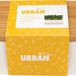 URBAN GREENS Mini Garden Sprouts Kit Sunflower - 20x8x7cm - 1.00