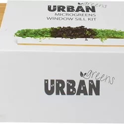 URBAN GREENS Windowsill Grow Kit Microgreens - 45x8x6cm - 1.00