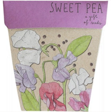 SOW 'N SOW Gift of Seeds Sweet Pea - 1.00